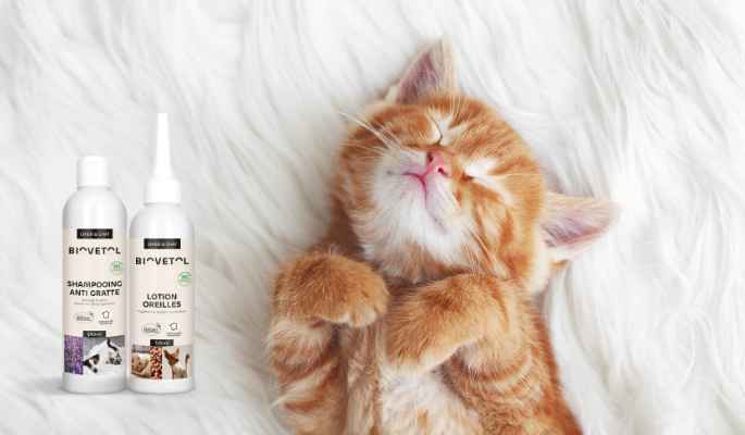 Produits et soins pour chat Biovetol